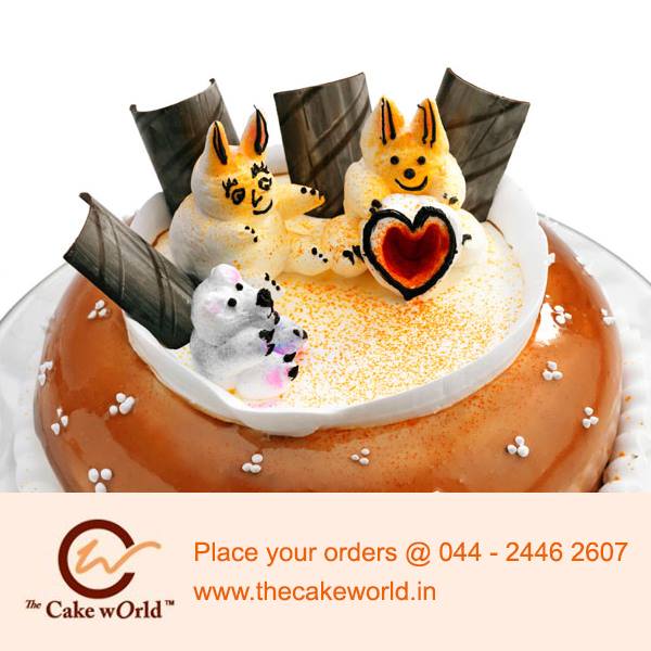  Cake World-img15